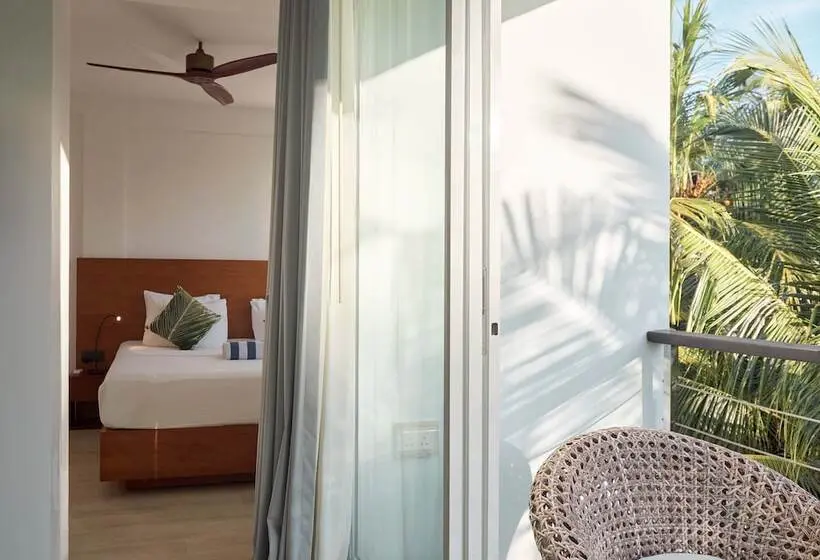 سوییت, Bliss Dhigurah