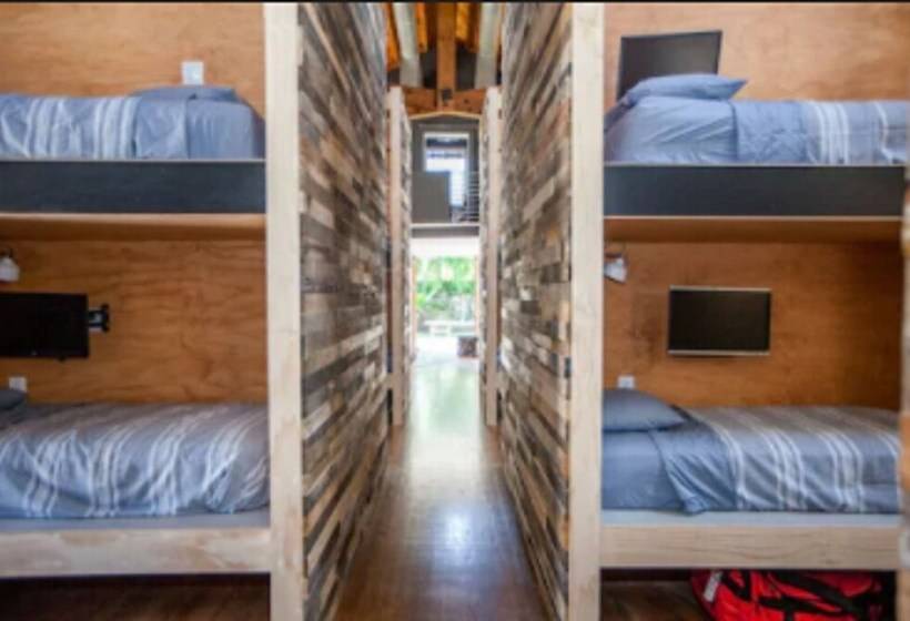 공동 객실, Podshare Venice