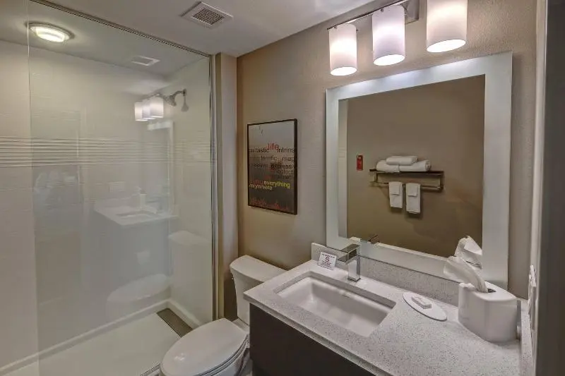 استودیو استاندارد با تخت کینگ, Towneplace Suites By Marriott Hot Springs