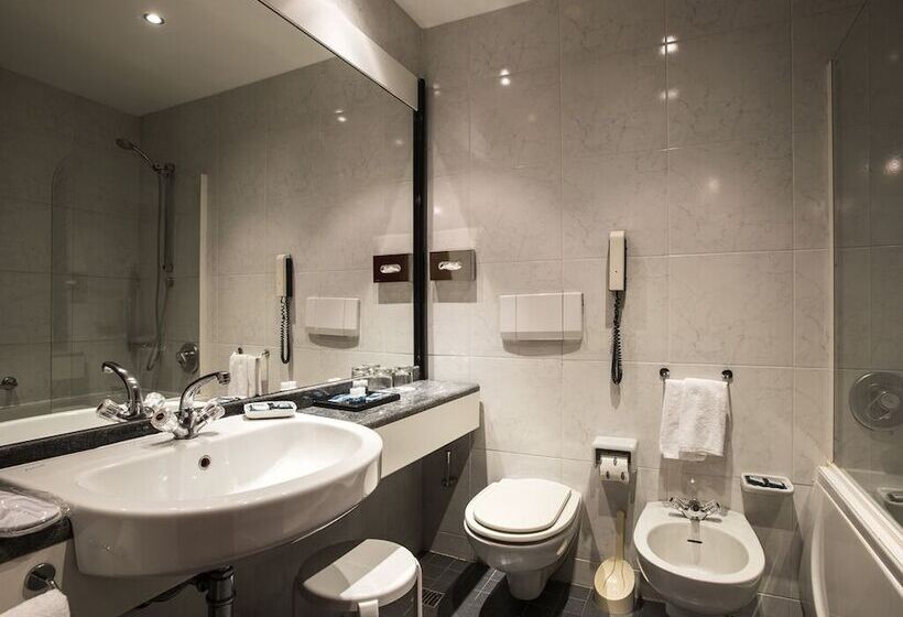 Habitació Estàndard, Flyon Hotel & Conference Center