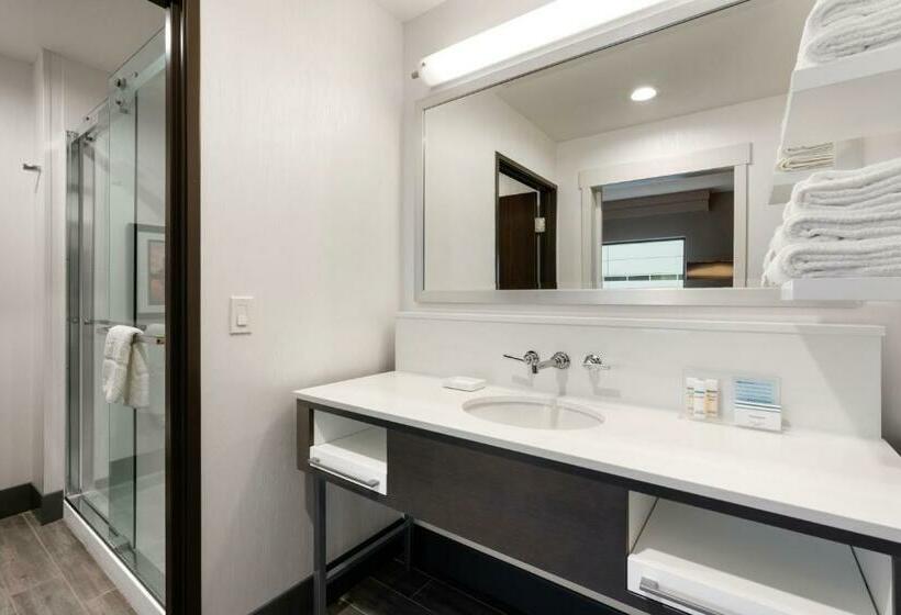 Номер Deluxe Кровать Кинг Вид на Город, Hampton Inn & Suites Spokane Downtownsouth