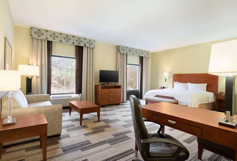 带大床的标准间, Hampton Inn & Suites Spokane Downtownsouth