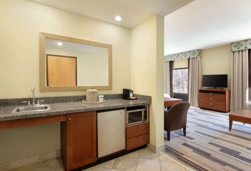 带大床的标准间, Hampton Inn & Suites Spokane Downtownsouth