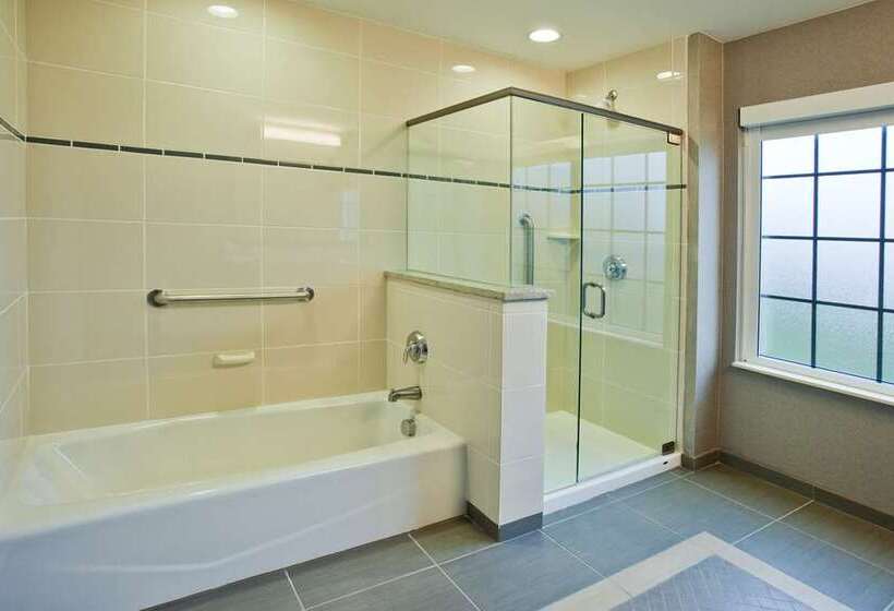 带城市景观的标准间, Hampton Inn & Suites Spokane Downtownsouth