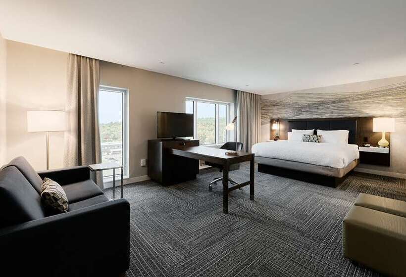 带城市景观的标准间, Hampton Inn & Suites Spokane Downtownsouth