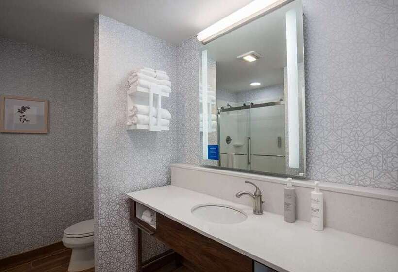 带城市景观的标准间, Hampton Inn & Suites Spokane Downtownsouth