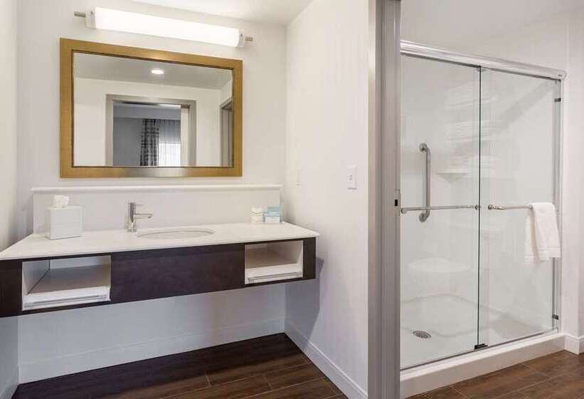 带城市景观的标准间, Hampton Inn & Suites Spokane Downtownsouth