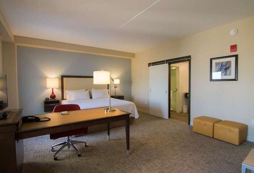 带城市景观的标准间, Hampton Inn & Suites Spokane Downtownsouth