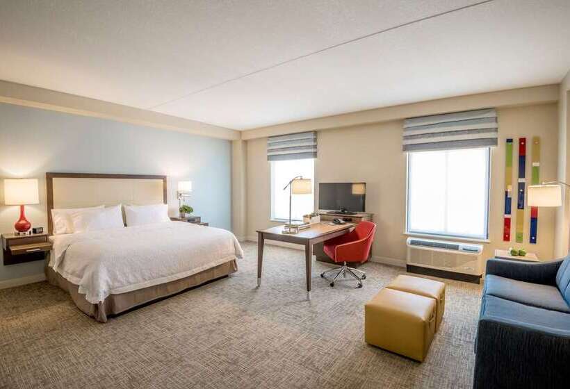 带城市景观的标准间, Hampton Inn & Suites Spokane Downtownsouth