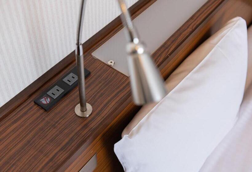 베이직 룸 더블 침대, Alpico Plaza