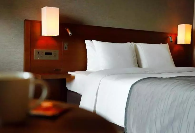キングサイズベッドのスタンダードルーム, Odakyu Hotel Century Southern Tower