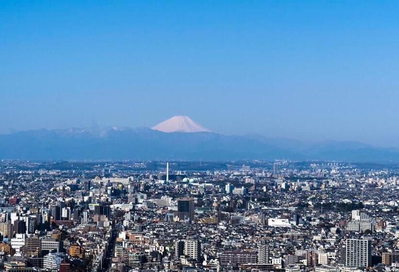 디럭스 전망 룸, Park Hyatt Tokyo