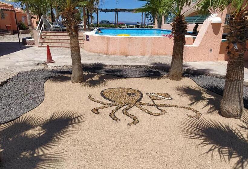 オーシャンビュースタンダードルーム, Club Cantamar Beach Hotel & Marina