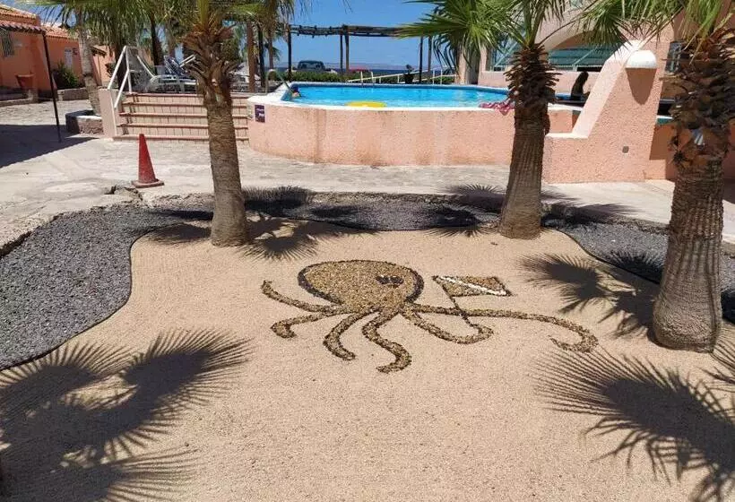 オーシャンビュースタンダードルーム, Club Cantamar Beach Hotel & Marina