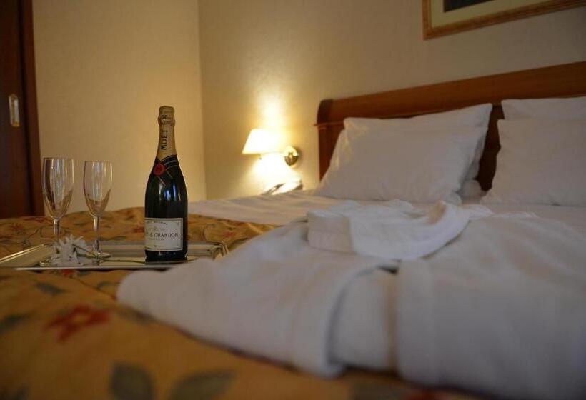 اتاق استاندارد با تخت بزرگ, Best Western Hotel Turist   Superior