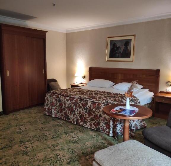 اتاق استاندارد با تخت بزرگ, Best Western Hotel Turist   Superior