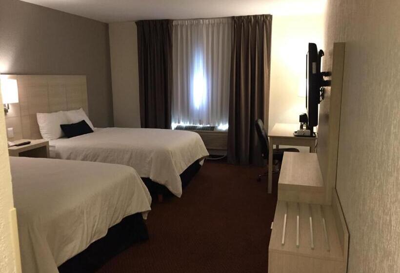 חדר סטנדרט שתי מיטות זוגיות, Casa Grande Delicias