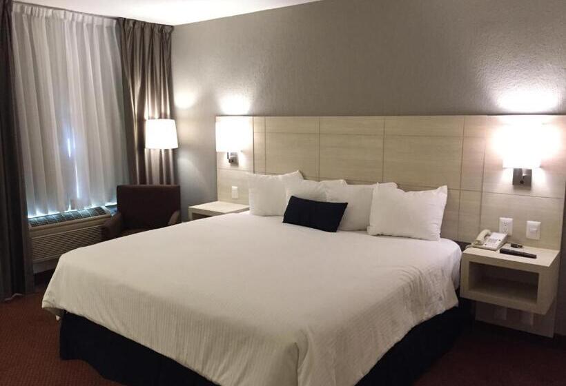 חדר סטנדרט עם מיטת קינג, Casa Grande Delicias