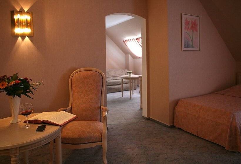 اتاق اکونومی, Meyer