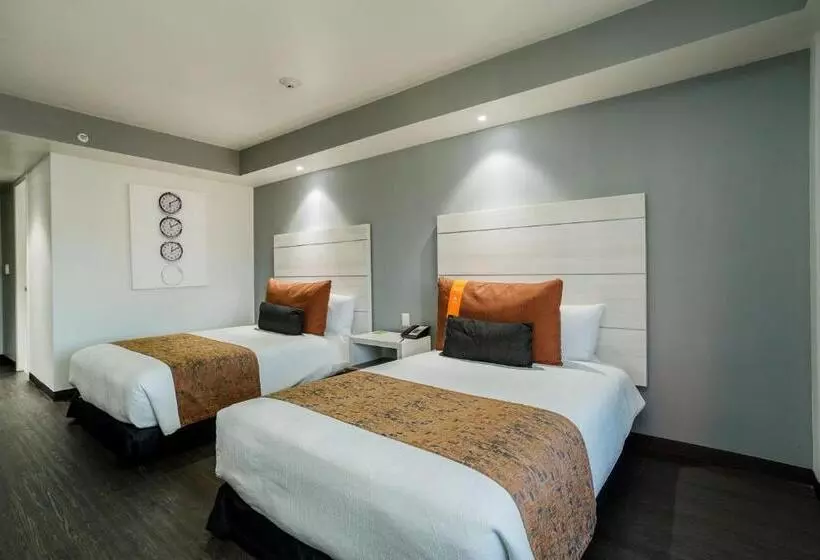 اتاق اجرایی, Real Inn Tijuana By Camino Real Hoteles