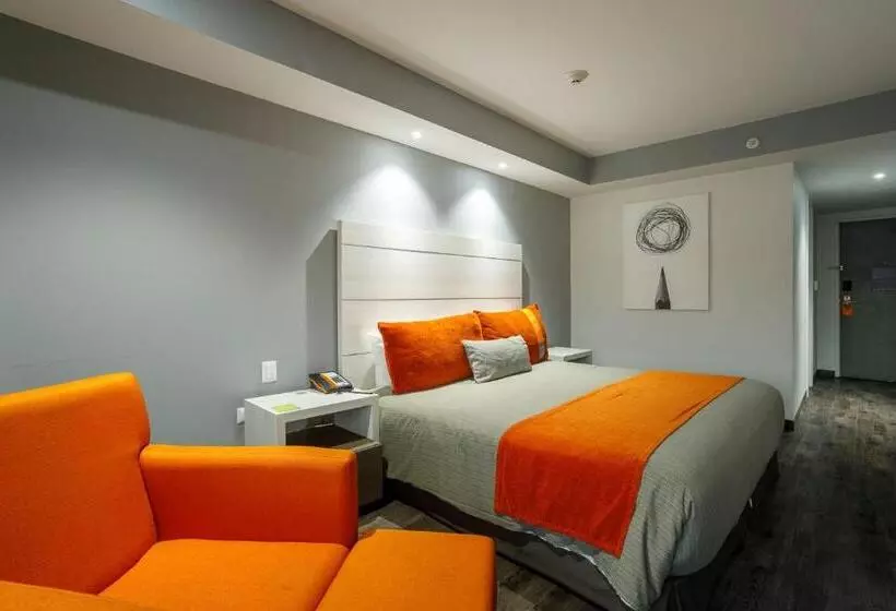 اتاق لوکس با تخت بزرگ, Real Inn Tijuana By Camino Real Hoteles