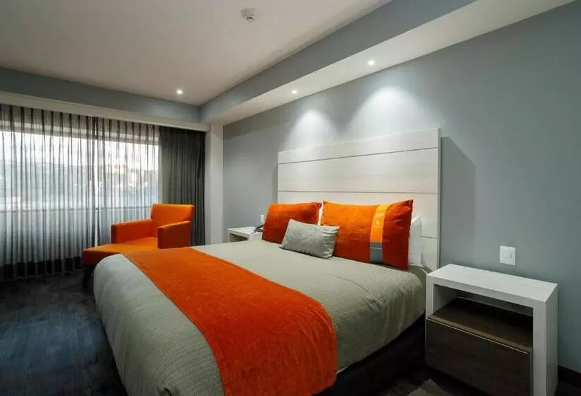 اتاق لوکس با تخت بزرگ, Real Inn Tijuana By Camino Real Hoteles