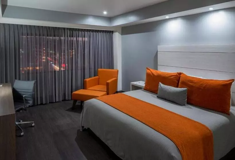 اتاق لوکس با تخت بزرگ, Real Inn Tijuana By Camino Real Hoteles