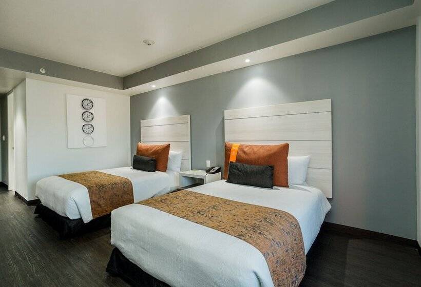 غرفة تنفيذية, Real Inn Tijuana By Camino Real Hoteles