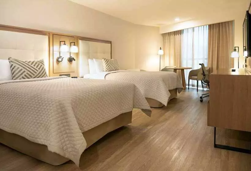 اتاق لوکس, Hilton Mexico City Airport