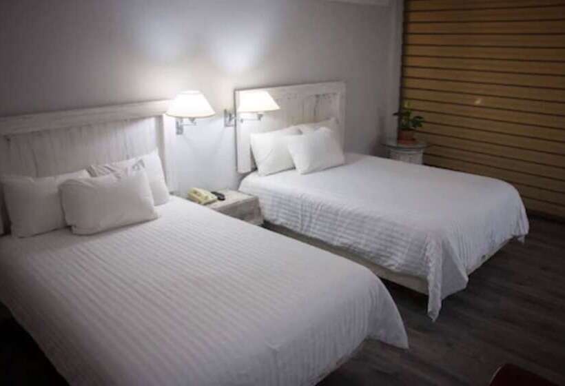 غرفة سوبيريور, Paraiso Express