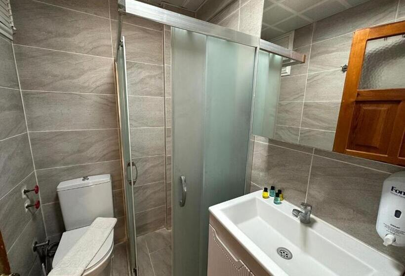 شقة غرفة واحدة, Cicek Apart