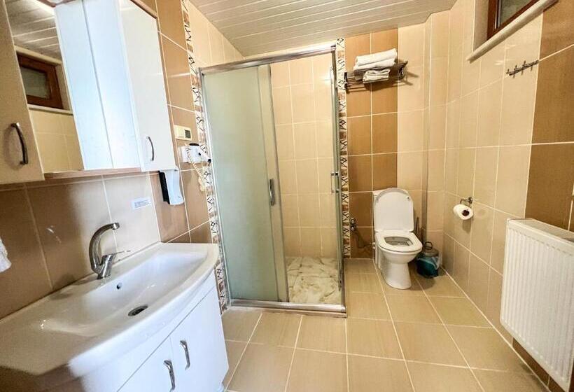 غرفة قياسية مطلّة علي البحيرة, Fulya Pension