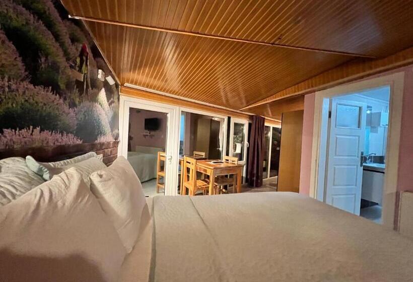 شقة بغرفة نوم واحدة, Fulya Pension