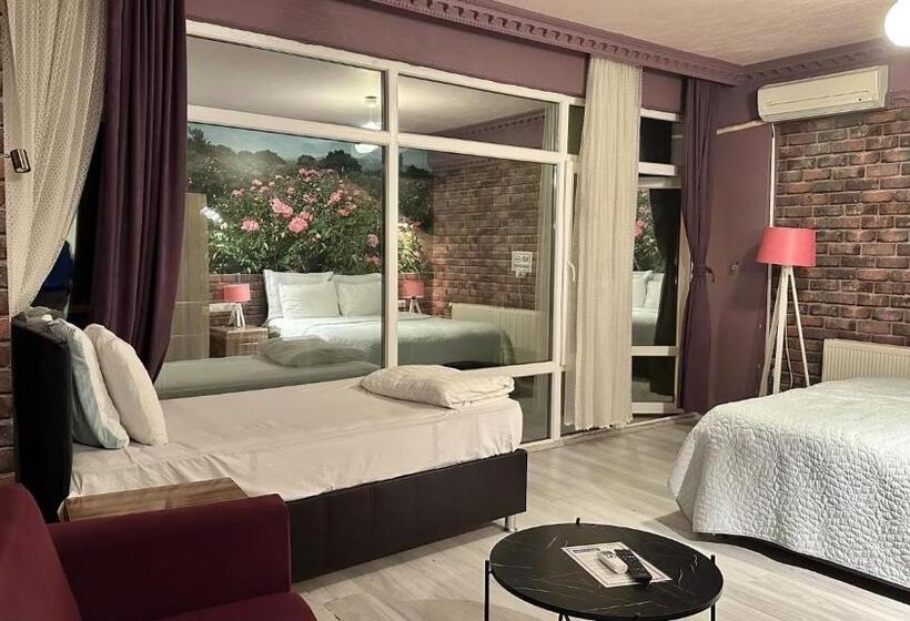 شقة بغرفة نوم واحدة, Fulya Pension