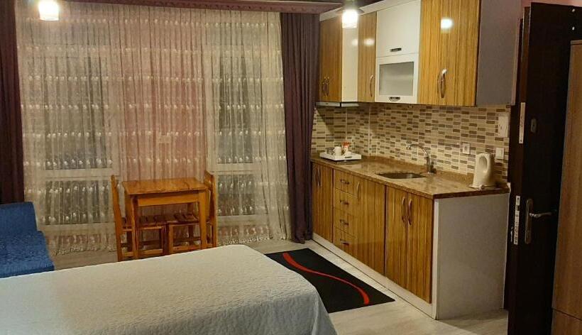 شقة غرفة واحدة ذات إطلالة, Fulya Pension