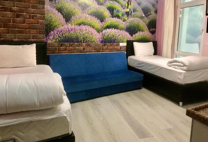 شقة غرفة واحدة ذات إطلالة, Fulya Pension