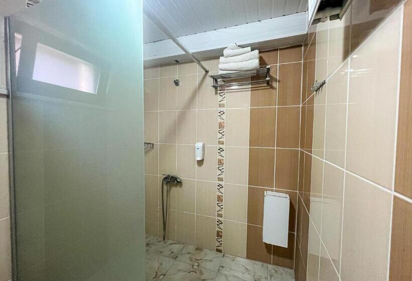 غرفة إقتصادية, Fulya Pension