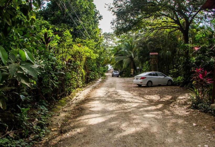 آپارتمان 2 خوابه, Plaza Royal Apartments