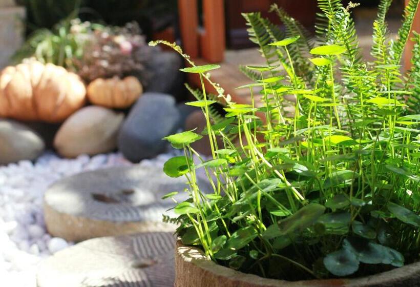 デラックススイート, Lijiang Sunshine Nali Inn