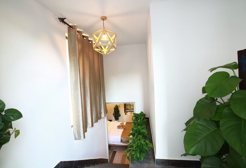 سوییت لوکس, Guilin Lakeside Yige