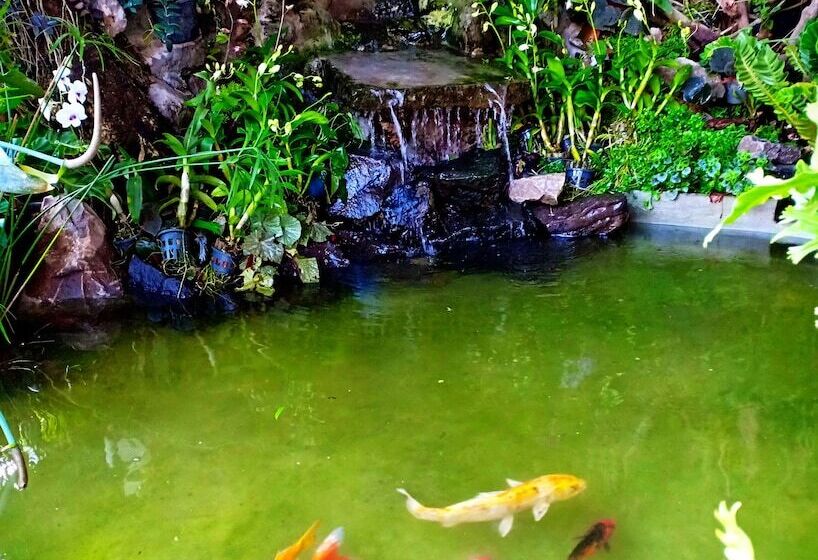 Люкс Повышенной Комфортности, Sofa Gallery