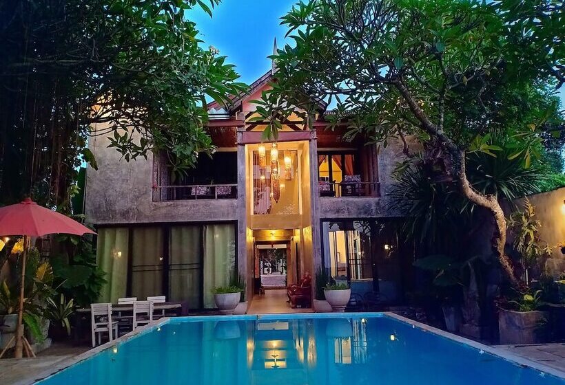 Люкс Повышенной Комфортности, Sofa Gallery