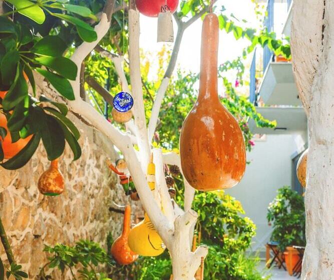 غرفة إقتصادية, Aphrodite Hotel Kaş