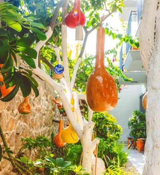 غرفة إقتصادية, Aphrodite Hotel Kaş