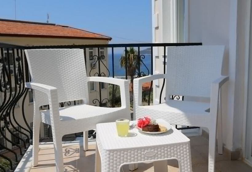 Pokój Standard, Mina Apart