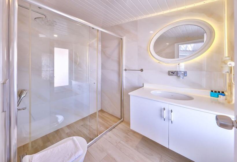 Pokój Standard, Mina Apart