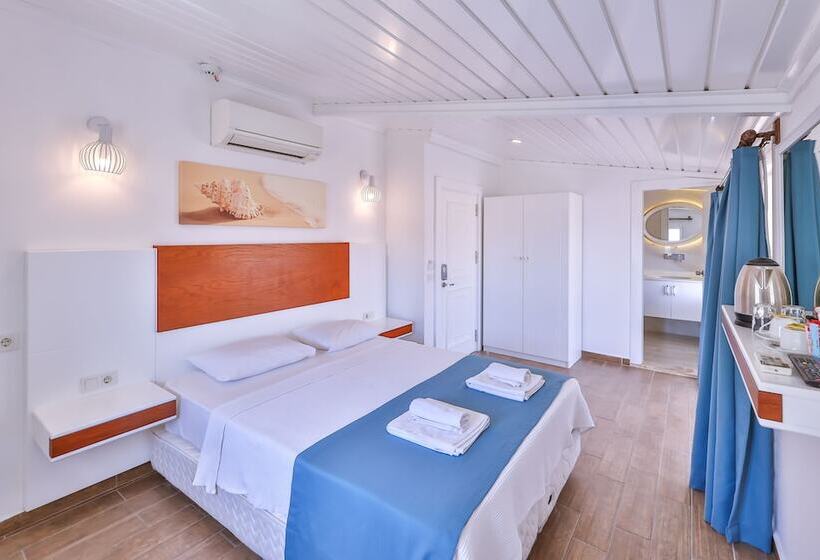 Pokój Standard, Mina Apart