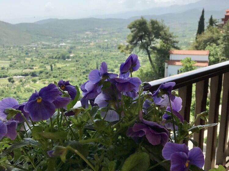 シングルデラックスルーム, Varosi 4 Seasons