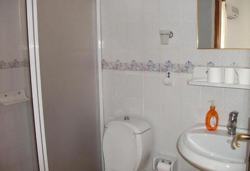اتاق استاندارد, Sardunya Otel Arka Bä°na