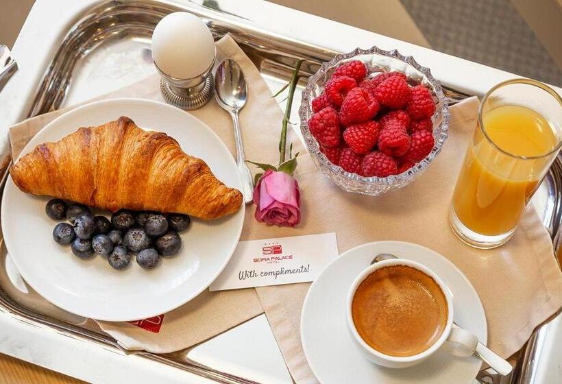 1 Sovrums Lägenhet, Sofia Palace Hotel By Hmg